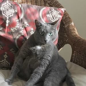 Meet your Posher, Krissy